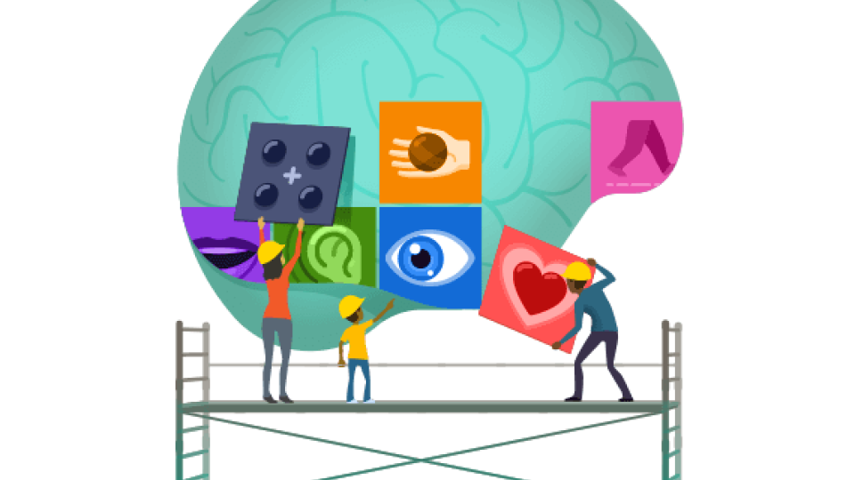 Building your child's brain for lifelong health: The… | Parentkind